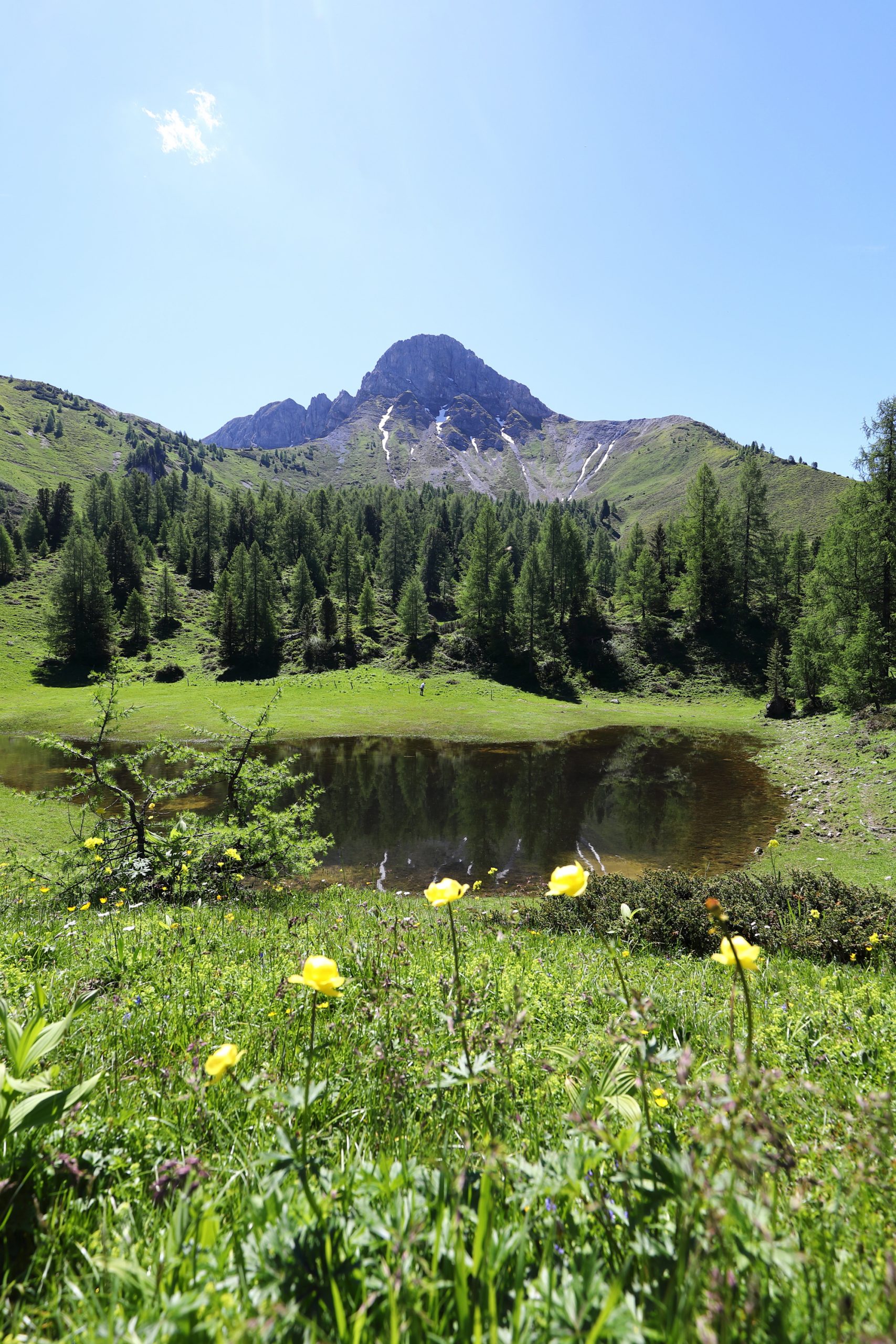 draugsteinlacke-hoch